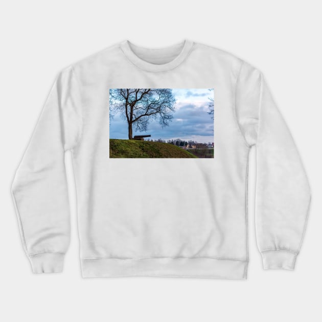 Cannon under naked tree on a hill Crewneck Sweatshirt by lena-maximova